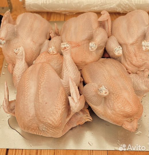 Мясо домашнего цыпленка бройлера