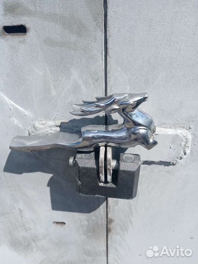 Олень на Волгу 21