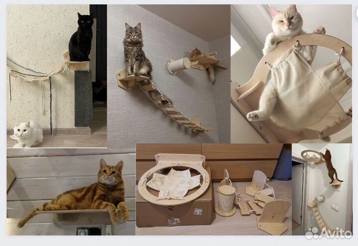 Готовое решение для питомца - настенные аксессуары