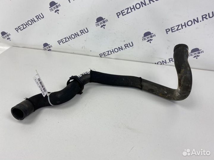 Патрубок радиатора нижний Peugeot 308 хэтчбек 5