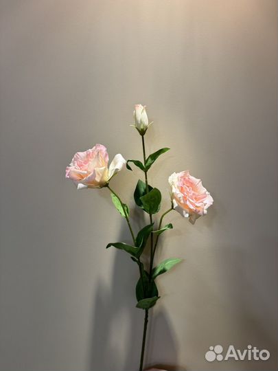 Эустома букет