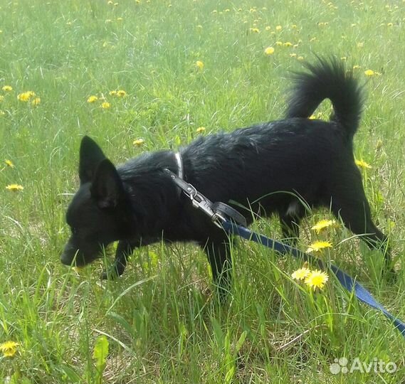 Классный парень Крош