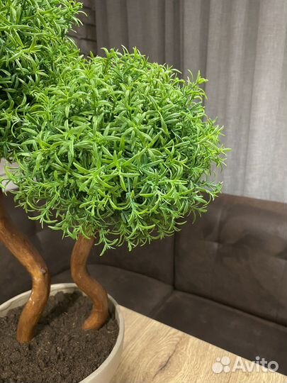 Розмарин домой в офис искусственный