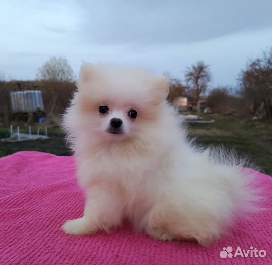 Белая девочка подросток