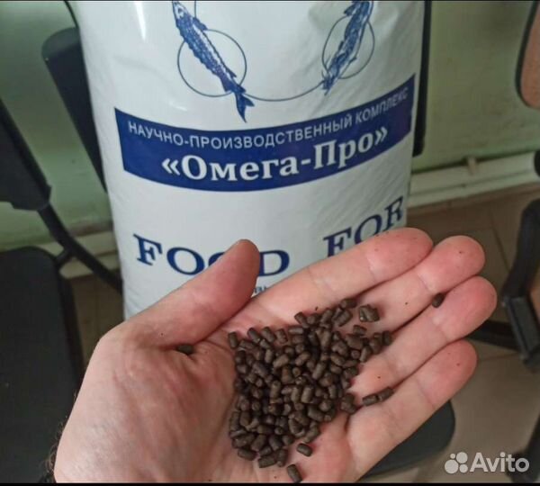 Корма для африканского сома и форели