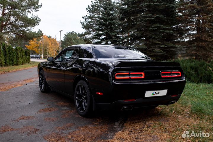 Dodge Challenger 3.6 AT, 2020, 61 500 км