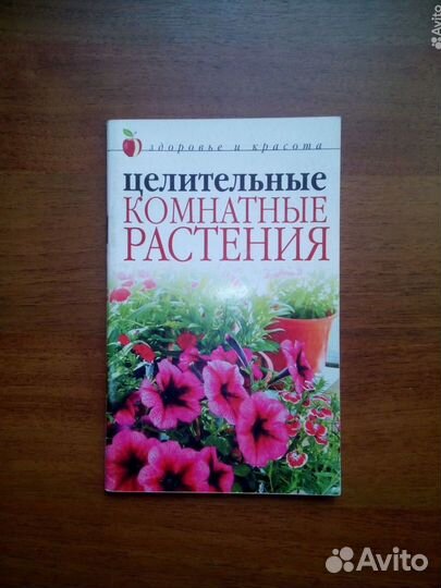 Целительные комнатные растения. Ю. Савельева