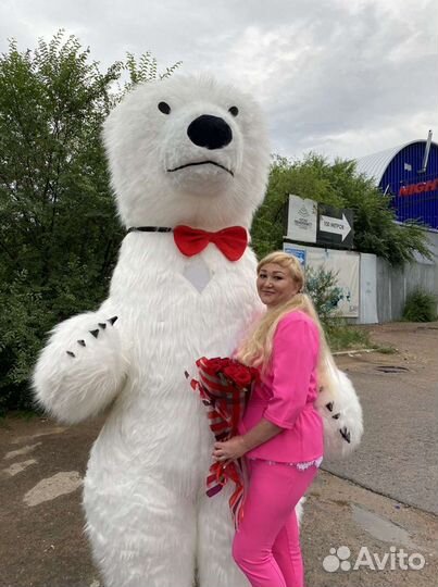 Белый мишка и панда 2,6м. Поздравления и праздники