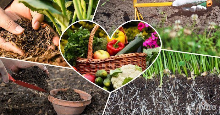 Плодородный грунт