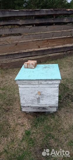 Улей для пчел бу