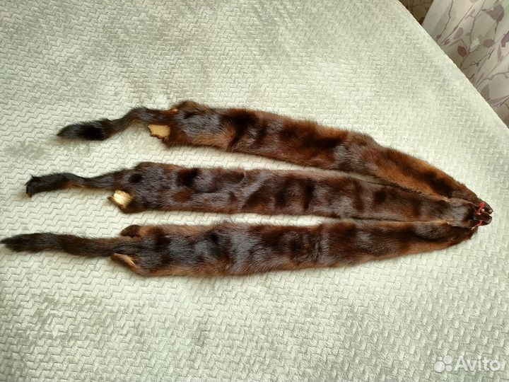 Шкурка норки