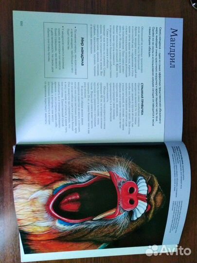 Книга об вымерших животных