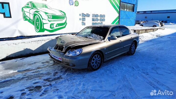 Стабилизатор задний Hyundai Sonata EF 5551138600