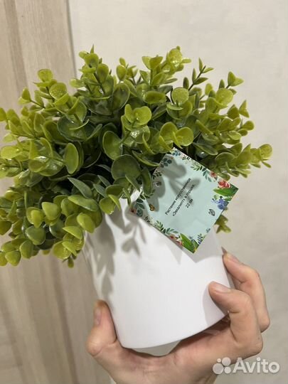 Искусственные цветы