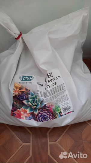 Грунт для кактусов и суккулентов