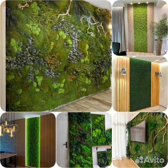 Стабилизированный мох ягель, плоский. Арт223, от