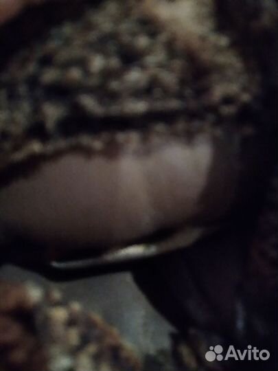 Полушубок мутоновый,разм 44-46