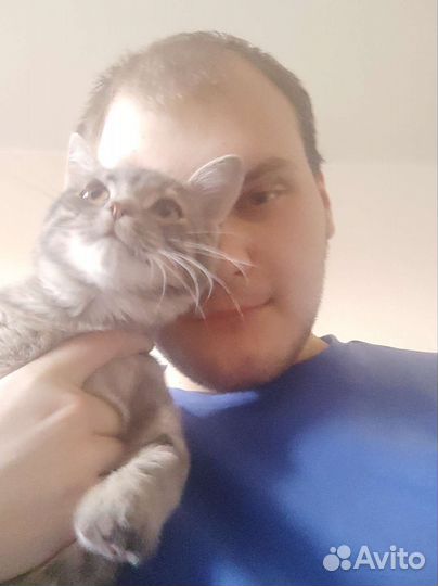 Репетитор по химии+математике