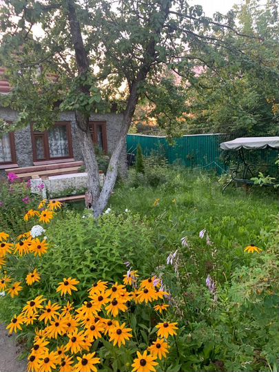 Дача 95 м² на участке 7 сот.