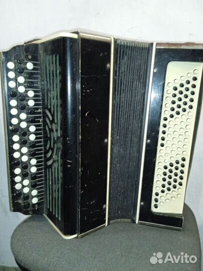 Баян Вологодский