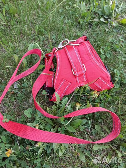 Шлейка прогулочная с поводком для кошек и собак