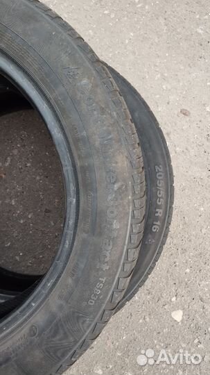 Continental ContiWinterContact TS 830 205/55 R16 91T