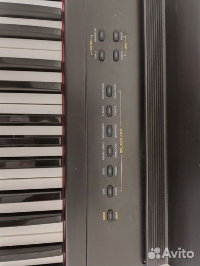 Цифровое пианино artesia performer