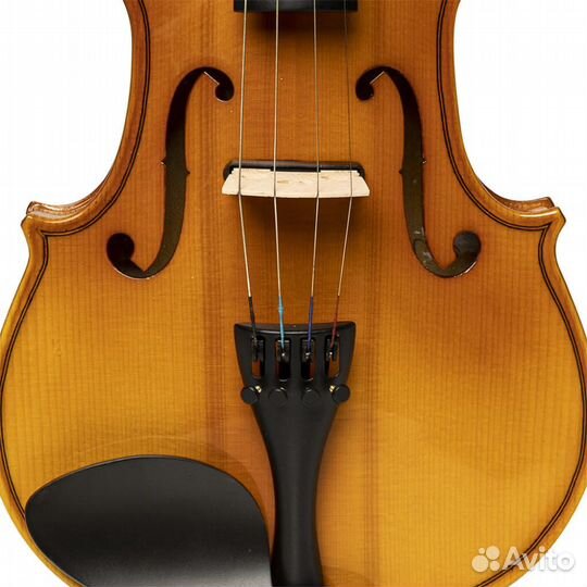 Скрипка Stagg VN-4/4 elec EF