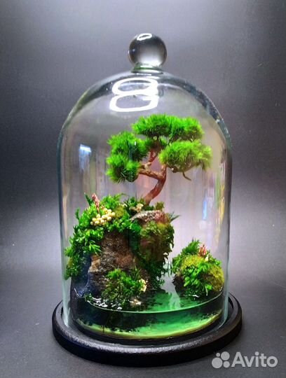 Моссариум, флорариум, подарки