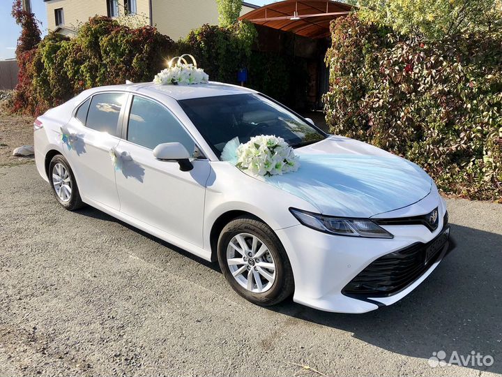 Прокат Toyota Camry и RAV4