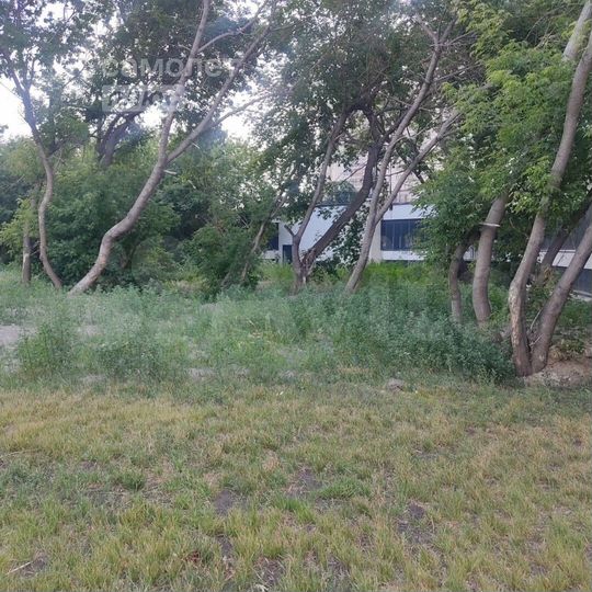 Участок 11,5 сот. (ИЖС)