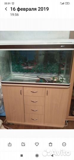 Аквариум с тумбой 200 литров