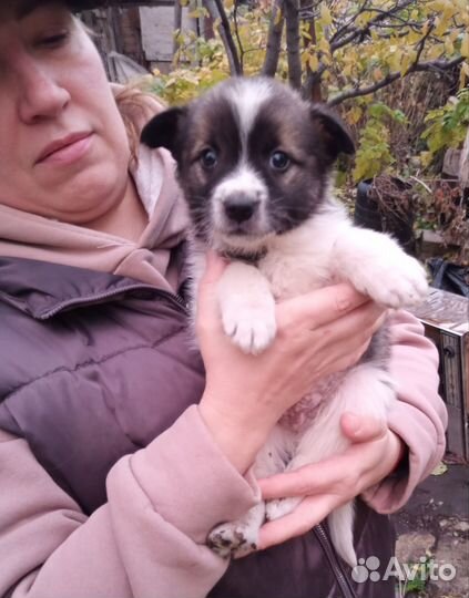 Милая девочка