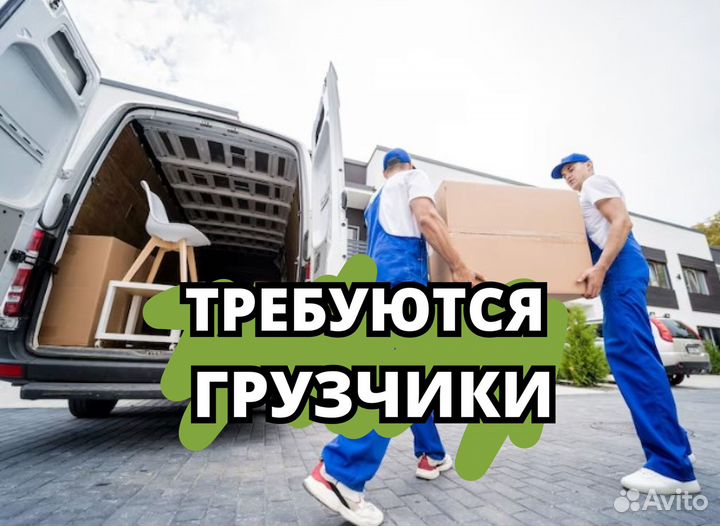 Грузчик с ежедневной оплатой.on602