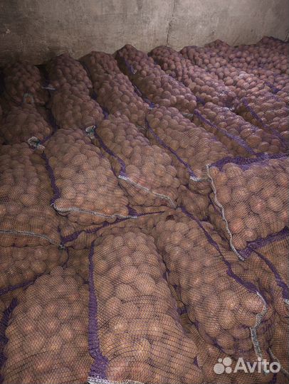 Фермерские продукты