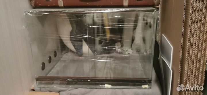 Террариум для змеи