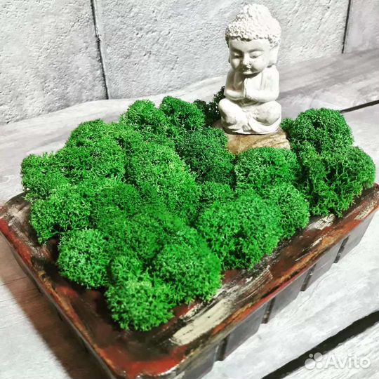 Декоративная композиция с стабилизированным мхом