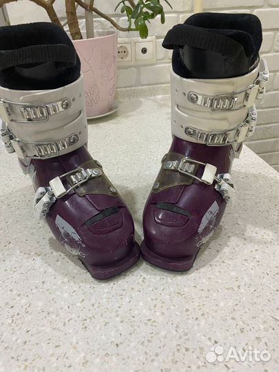 Горнолыжные ботинки