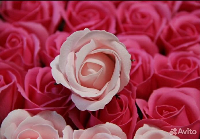 Мыльные розы оптом