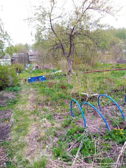 Дача 25 м² на участке 11 сот.