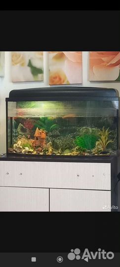 Аквариум