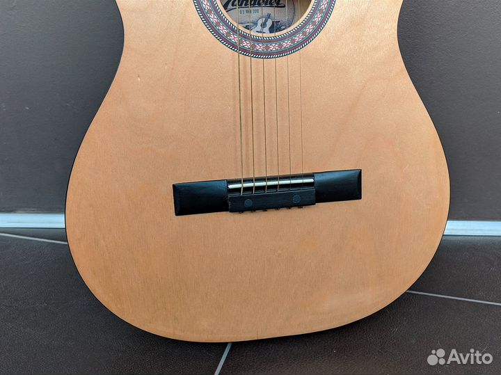 Гитара Wanderer CB2 + чехол