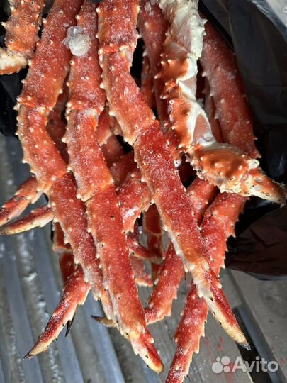 Краб Камчатский опт 2023