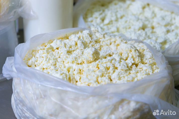 Творог домашний мелким оптом