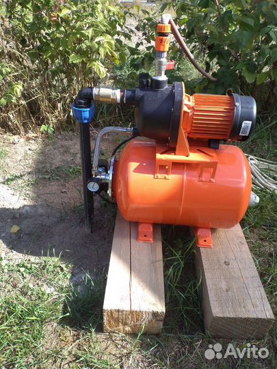 Абиссинка за один день