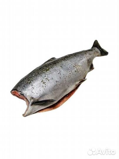 Чавыча с/м б/г