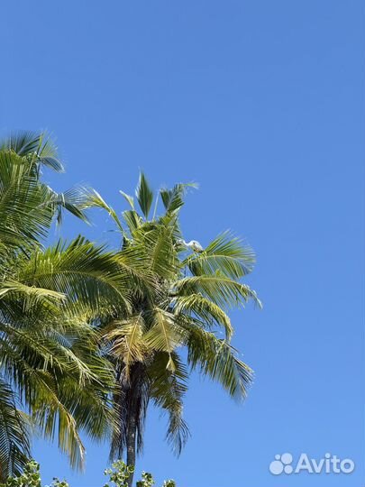 Вещи для Юлии