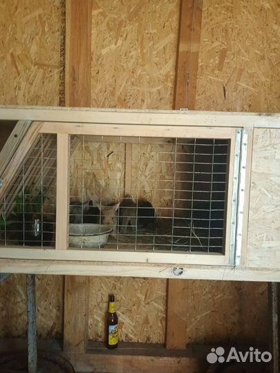 Клетка для кролика