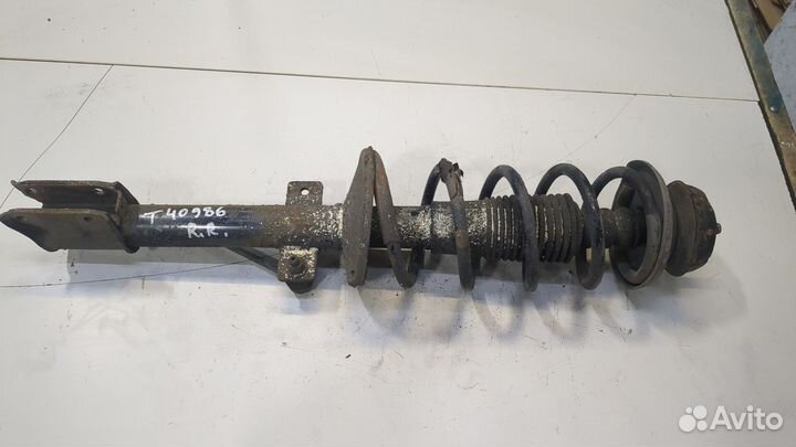 Амортизатор подвески Dacia Duster, 2014