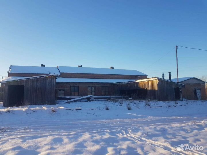 Животноводческая ферма продаю